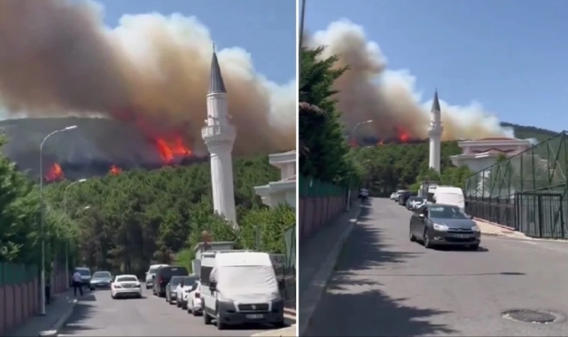 İstanbul'daki Aydos Ormanı'nda yangın çıktı!