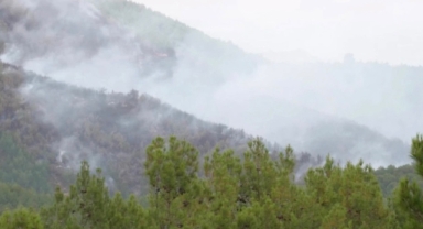İzmir Bergama'da Orman Yangını