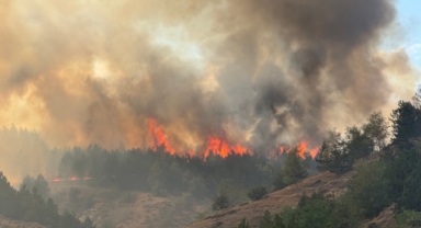 Kastamonu'da orman yangını hızla büyüdü