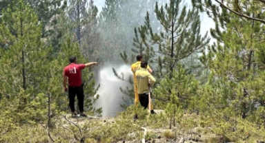 Kastamonu'daki orman yangı