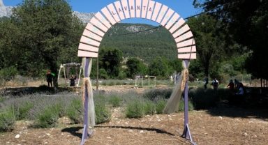 Kemer’de lavanta hasadı