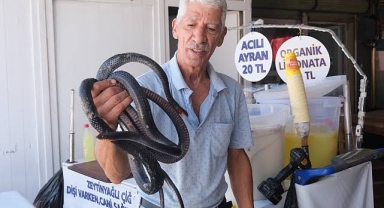 Koynunda beslediği yılanlar böyle ısırdı