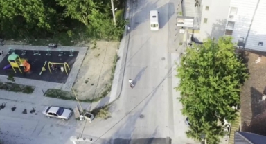 Kuş elektrik teline çarptı!