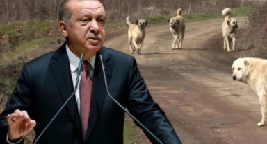 Meclis tatile girmeden meseleyi çözeceğiz