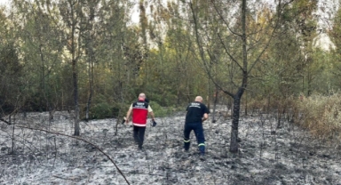 Ormanlık alanda yangın