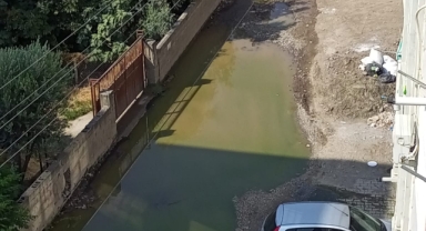 Osmaniye'de Kanalizasyon Sorunu: Pis Koku ve Sağlık Riski Sokakları Sardı