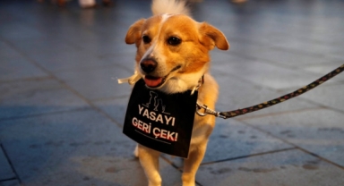 ‘Ötanazi yasası’ görüşmelerinde kritik gelişme