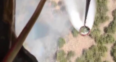 Selçuk'taki orman yangını kontrol altında