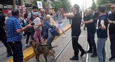 Sokak Hayvanlarına İlişkin Kanun Teklifi Protestosu