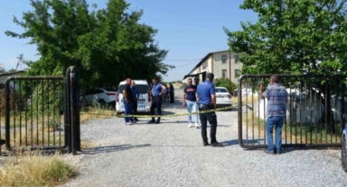 Tavuk Çiftliği Kavgası 