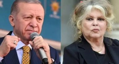 Ünlü isimden Erdoğan'a tepki