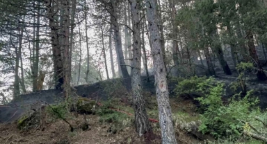 Yıldırım düşmesiyle orman yangınları çıktı