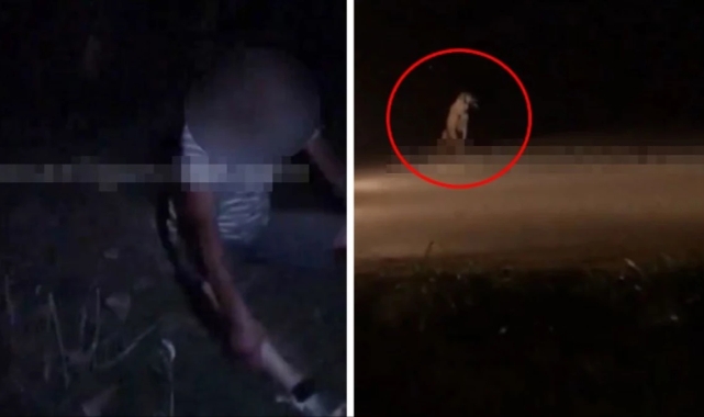 60 yaşındaki şahıs köpeğe tecavüz ederken yakalandı