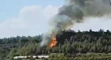 Antalya'da çıkan orman yangını 2 saatte söndürüldü