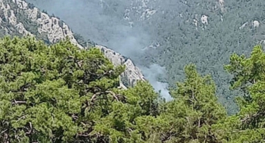Antalya'da orman yangını