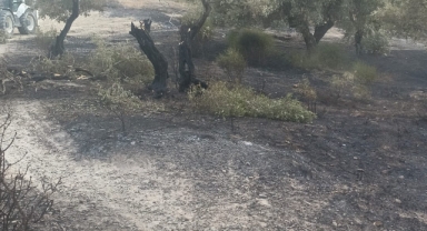 AYDIN BÜYÜKŞEHİR BELEDİYE İTFAİYESİ YANGINLARA ANINDA MÜDAHALE ETTİ