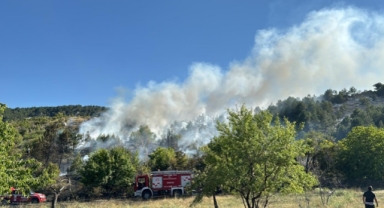 Bahçede çıkan yangın ormana sıçradı