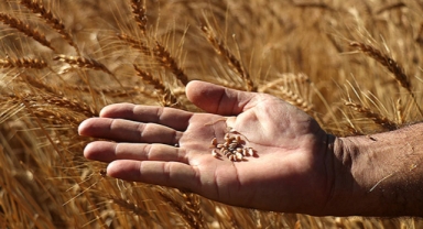 Bakanlık ekilmeyen tarlaları kiraya verecek