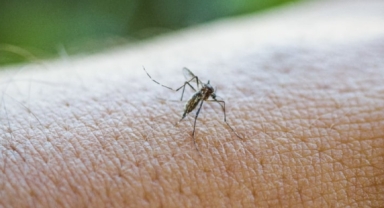 Bakanlık virüs tespit edilen kişi sayısını açıkladı