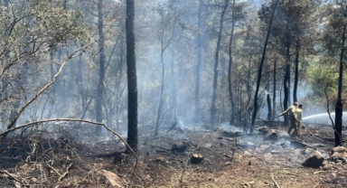 Balıkesir'de çıkan orman yangını kontrol altına alındı