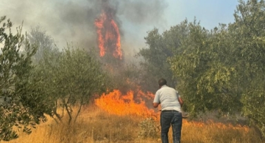 Birçok ilde orman yangınları sürüyor