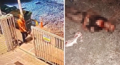 Boğazı ve kafası köpekler tarafından parçalandı 