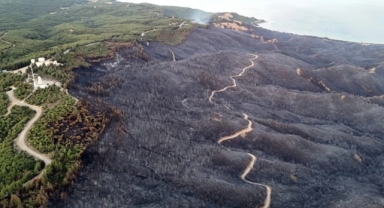  Çanakkale'de alevlerle mücadele sürüyor
