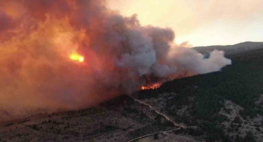 Çankırı'da orman yangını çıktı