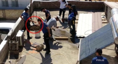 Çatıya kova kova toprak taşıdılar ama nafile !