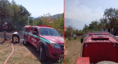 Düzce'de orman yangını