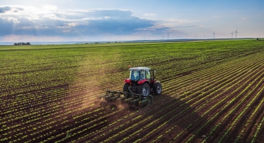 Ekilmeyen tarım arazileri kiraya verilecek