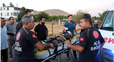 Elazığ'da trafik kazası
