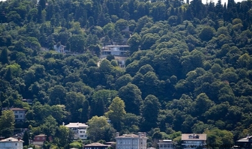 İBB Tarafından Üsküdar'da Kaçak İnşaat Mühürlendi: Yıkım ve Suç Duyurusu Yapıldı