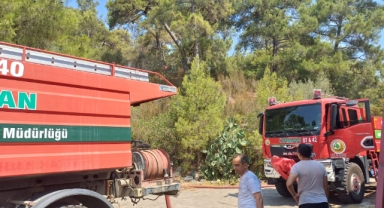 Kemer Göynük’te korkutan yangın 