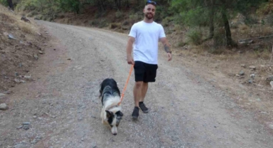 Köpeği ile gezerken yavru ayı ile karşılaştı