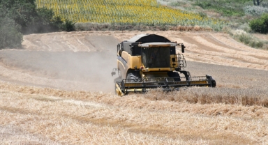 Lüleburgaz Belediyesinden 160 ton buğday hasadı