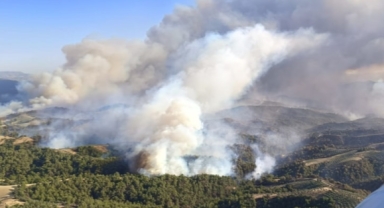 Manisa yangını ikinci gününde