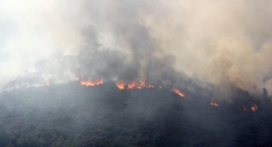 Mersin'de orman yangını çıktı