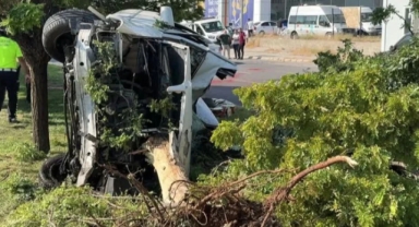 Otomobil ağaca çarptı