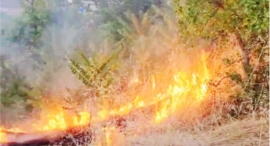 Safranbolu'da çıkan yangın söndürüldü