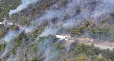 Tokat'ın Turhal ilçesinde orman yangını