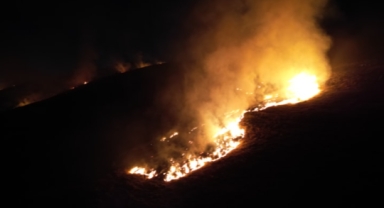 Yangın büyüyüp ormana sıçradı