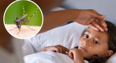 Bangladeş'te dang humması vakaları artıyor