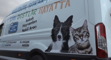 Büyükçekmece Tepecik Spor, Sahiplenilen Köpekleriyle Antrenmanlara Renk Kattı