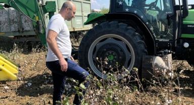 Germencik Belediye Başkanı Burak Zencirci'den Pamuk Hasadına Ziyaret: 