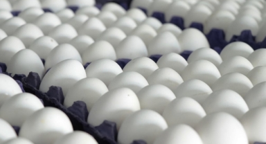 'İlaçlı yumurta' iddialarına bakanlıktan yanıt