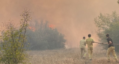 Kütahya’da korkutan orman yangını
