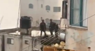 Pes dedirten görüntüler