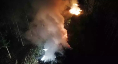 Sakarya'da ağaçlık alanda yangın çıktı