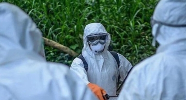 Salgın hızla yayıldı